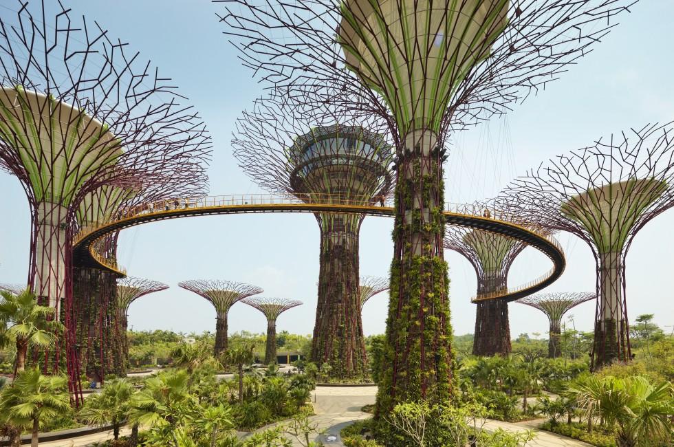 The Supertree Grove, Gardens by the Bay, Singapore; 