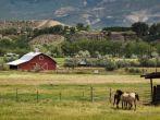 Red barn on the farm in Grand Junction, Colorado.
