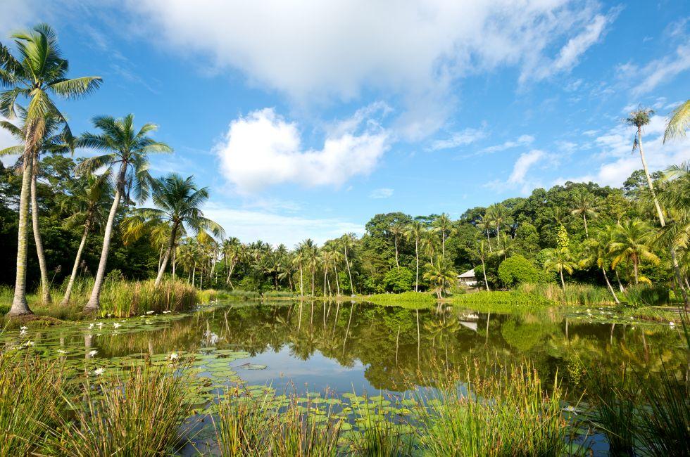 Pond on Pulau Ubn, Singapore;