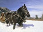 Sleigh riding, Rapp Ranch, Durango, Colorado