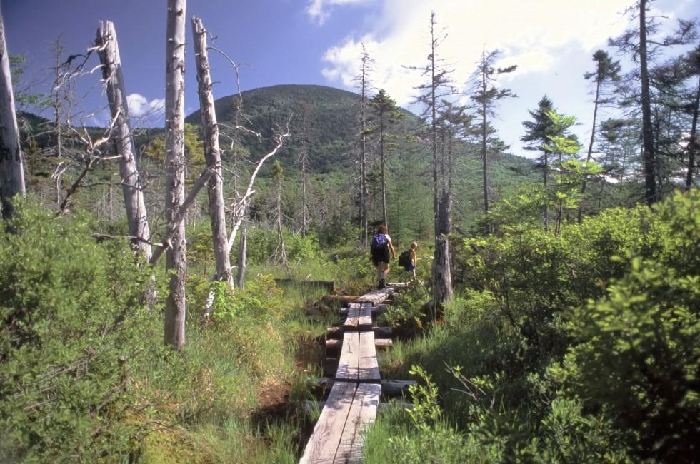 Lonesome Lake Hut, Appalachian Mountain Club, Cannon Mountain, White Mountains, New Hampshire, USA