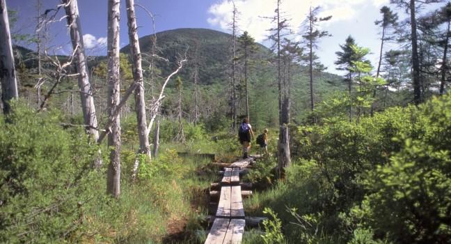 Lonesome Lake Hut, Appalachian Mountain Club, Cannon Mountain, White Mountains, New Hampshire, USA