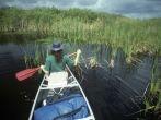 Everglades, Florida