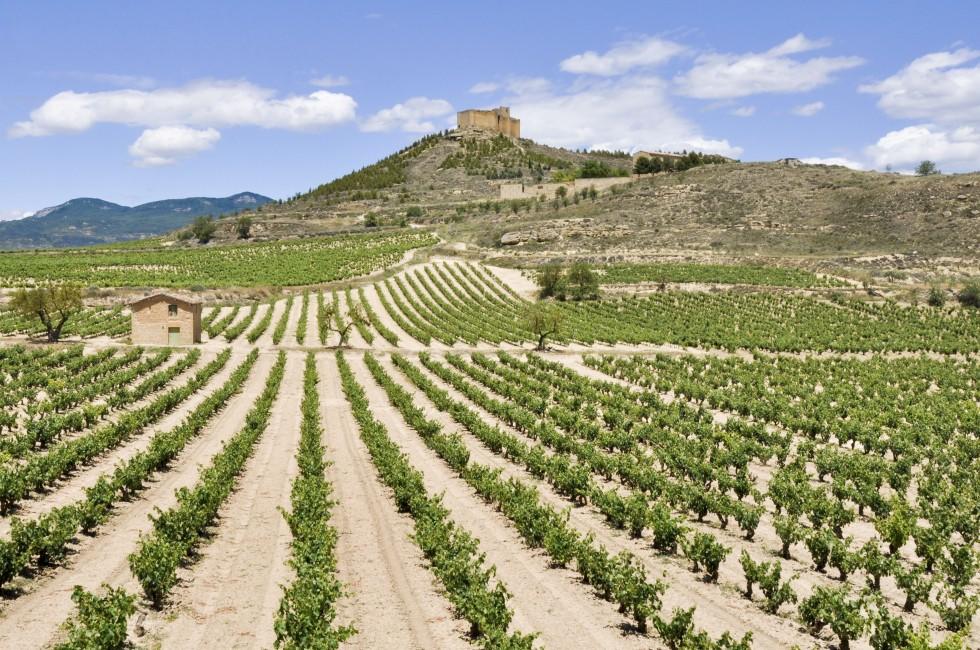 Vineyards and Davalillo castle, La Rioja (Spain)