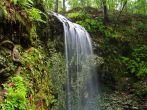 Falling Waters State Park in Northern Florida; 