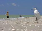 Sanibel Island
