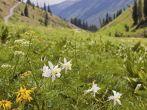 Mountains in Crested Butte, Colorado.;