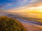 Popular travel destination; Laguna Beach California, against the sunset and wildflowers in bloom