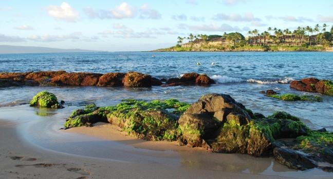 Napili Beach, Maui, Hawaii, USA 