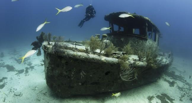 Female scuba diver swimming underwater near a shipwreck in the Bahamas;  
