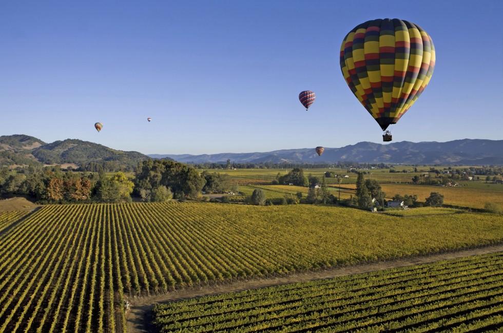 Hot-air Balloons over Vineyards, Napa and Sonoma, California, USA