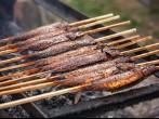 Grilled fish laying on hot grill on wooden sticks