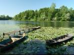 Nature park Lonjsko Polje - Croatia
