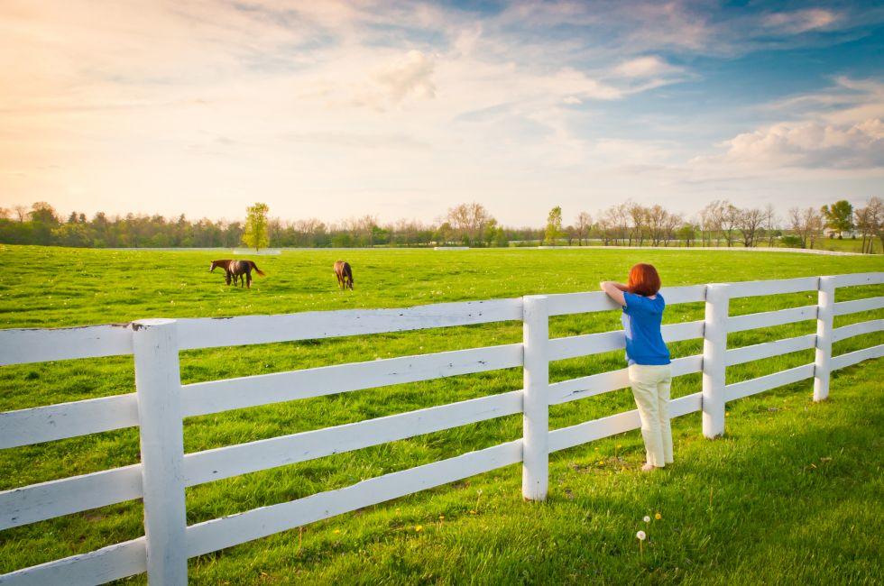 Woman  enjoying  countryside  view  with green pastures and horses at evening golden hour. Kentucky