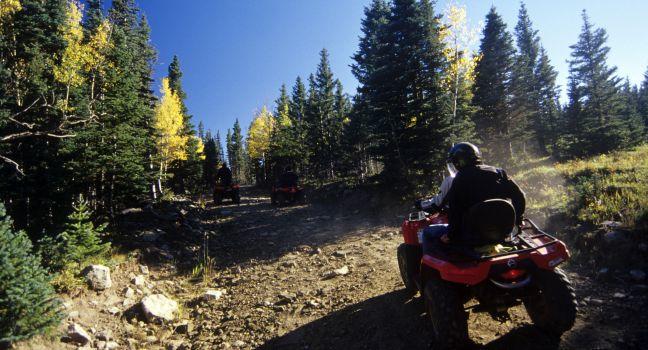 north of Red River, NM in the Carson National Forest.