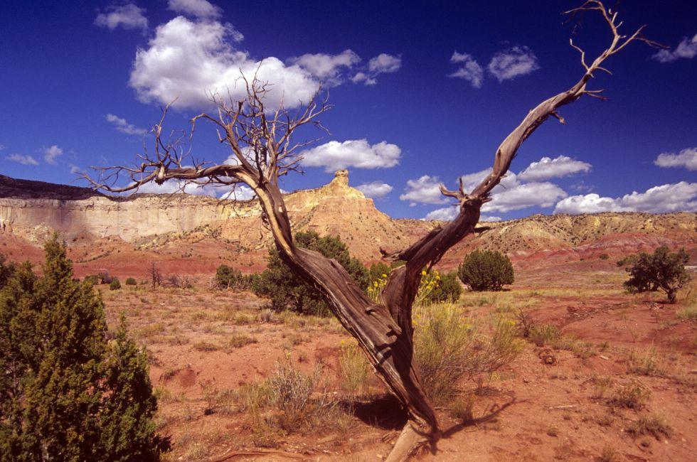 Ghost ranch, New Mexico