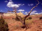 Ghost ranch, New Mexico