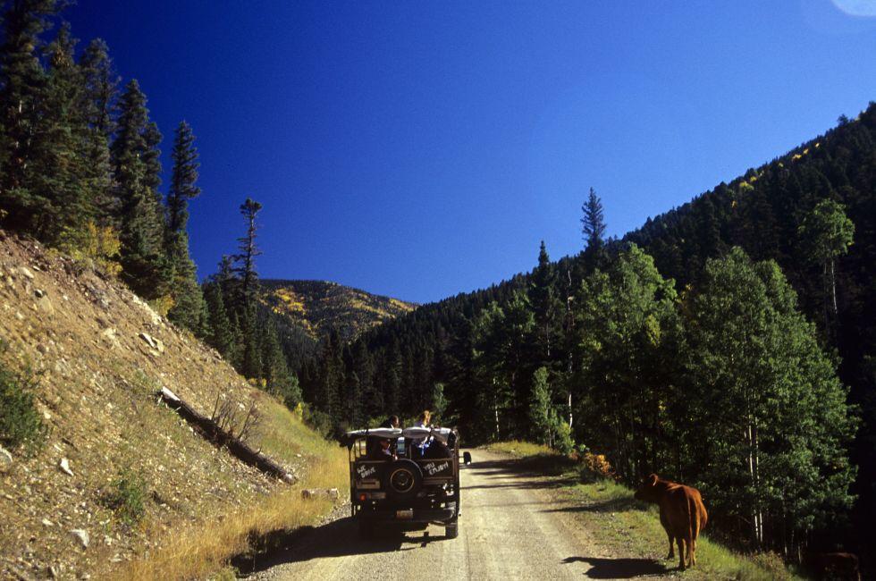 north of Red River, NM in the Carson National Forest.