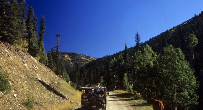 north of Red River, NM in the Carson National Forest.