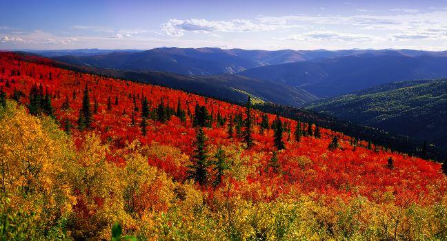 Yukon - Dawson Range in the fall, C