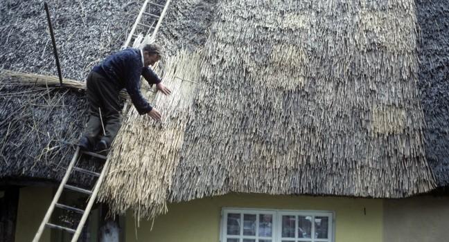 Thatched Cottage, Adare, Ireland