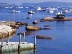Maine, USA