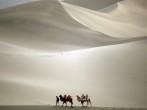Camel trekking through the  Southern Desert, Dunhuang, China