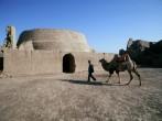 Camel, Silk Road, Turpan, China