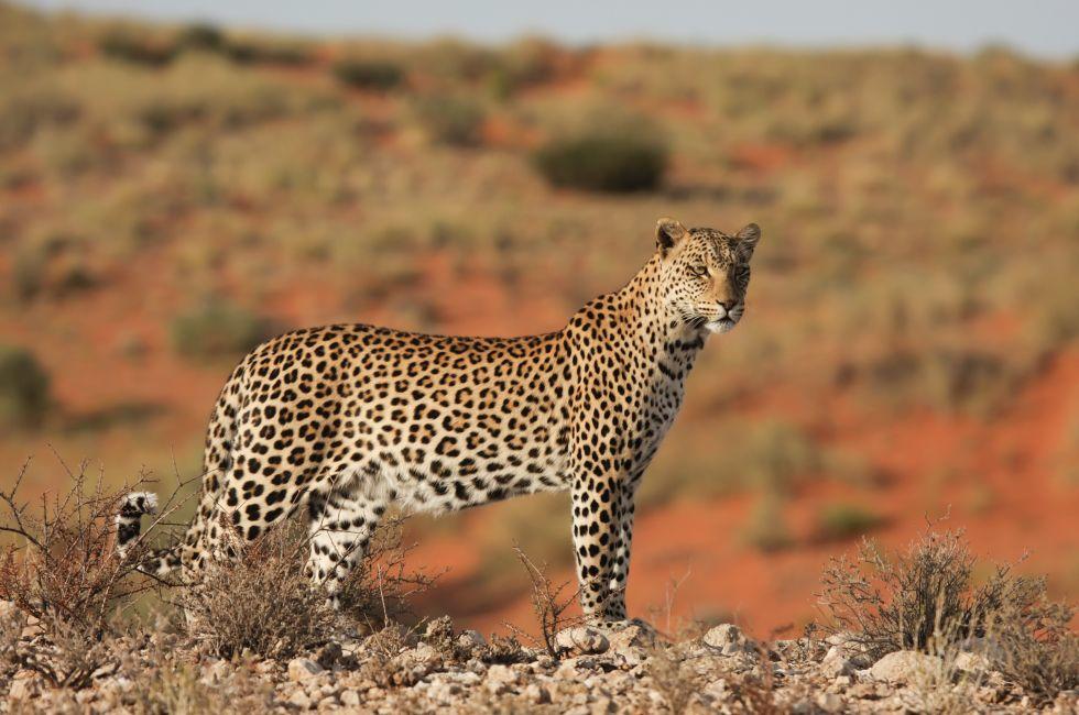 South Africa Photo Gallery | Fodor's Travel