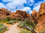 Devils Garden Primitive Loop Trail - Arches National Park Moab Utah