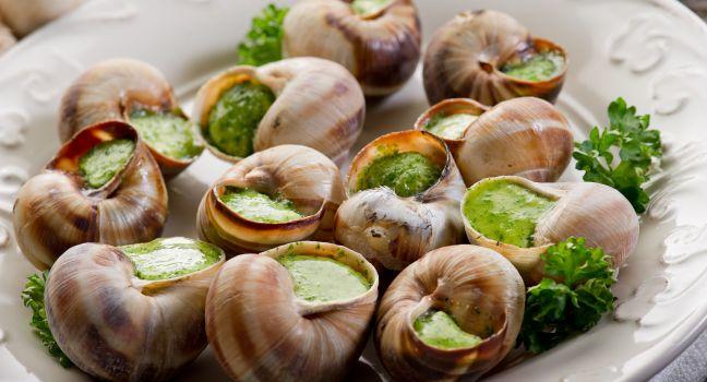 bourguignonne snail au gratin