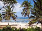 Beach in Kenya, Tiwi Beach