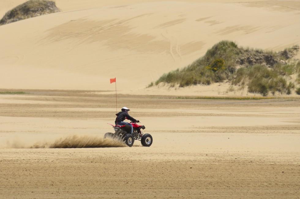 Oregon coast dunes near Reedsport Oregon; Shutterstock ID 105710177; Project/Title: Pacific NW ebook