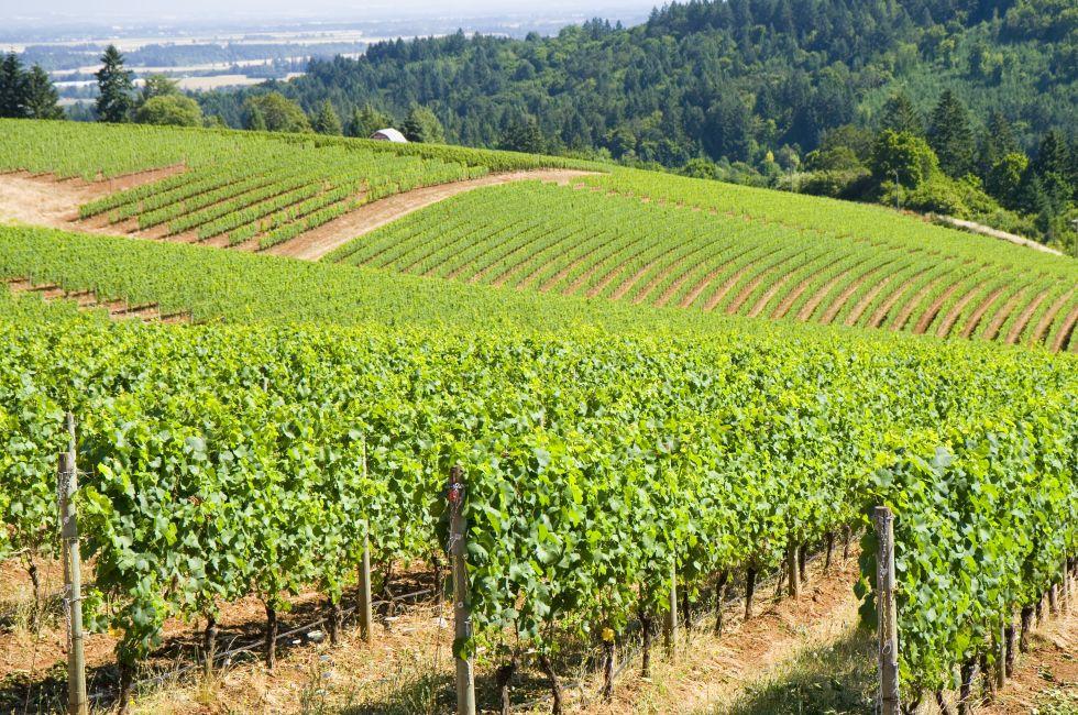 Oregon Photo Gallery Fodor’s Travel