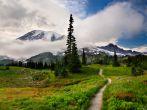 Trail to Rainier.