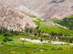 Vineyards of Elqui valley, Chile