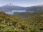 Llaima volcano from Conguillio national park, Chile