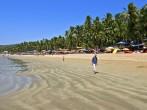 Exiting Palolem beach panorama on low tide with white wet sand and green coconut palms, Goa, India.