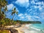 Beautiful view of Odayam beach near ocean and palm trees in Varkala, Kerala, India.