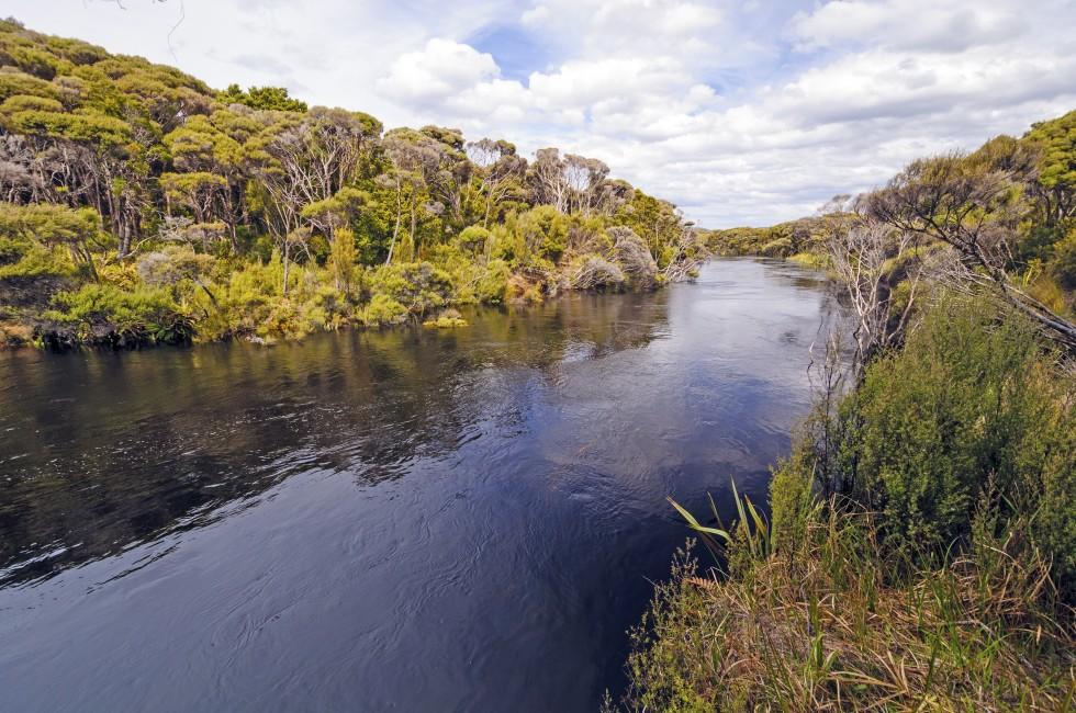 The Freshwater River on Stewart Island in New Zealand;