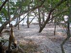 De Soto National Memorial, Brandenton, Florida