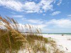 Siesta Key Beach is located on the gulf coast of Sarasota Florida with powdery sand.