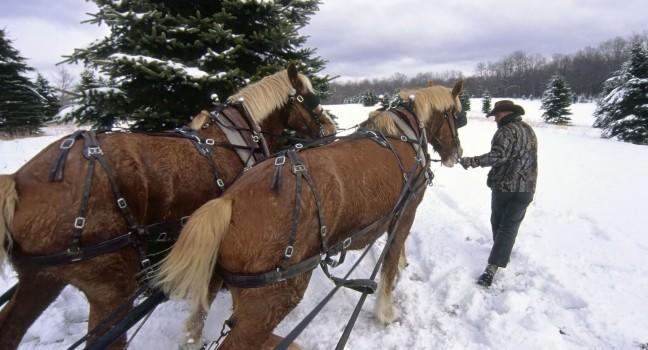 South Woodstock, Vermont