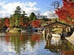 Fall foliage at  in Nagoya, Japan.