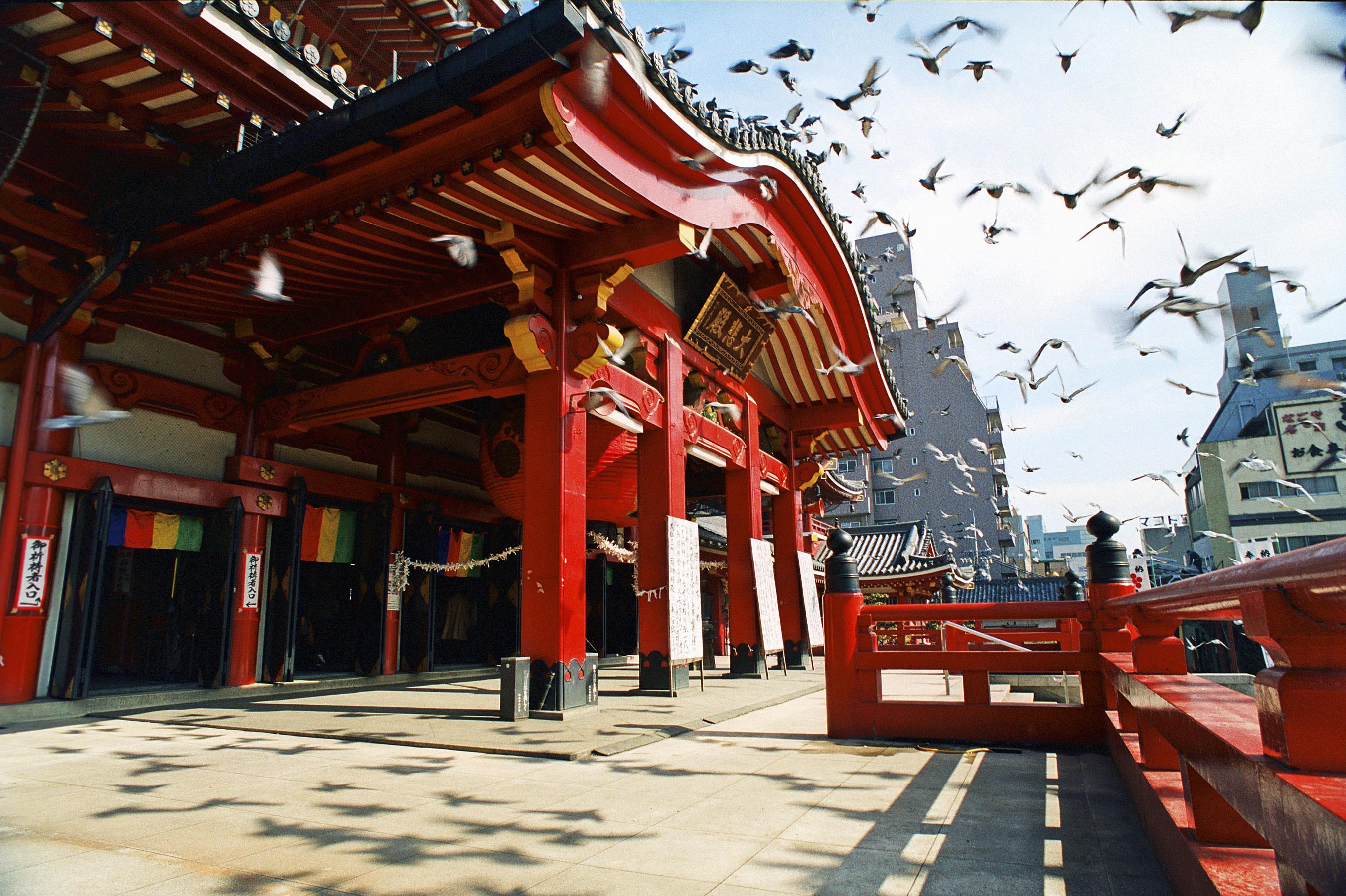 Nagoya, Ise-Shima, and the Kii Peninsula