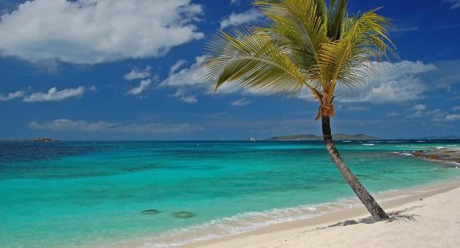 Beautiful beach on Palm Island - Saint Vincent and the Grenadines