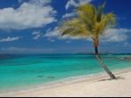 Beautiful beach on Palm Island - Saint Vincent and the Grenadines