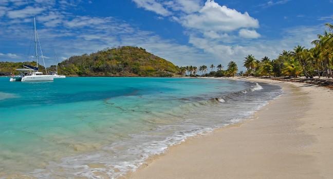 Tropical beach with palm trees on shore and catamarans anchored on sea, Mayreau island.
