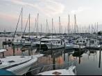 annapolis harbor at morning.