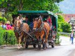 HOHENSCHWANGAU, GERMANY - 19 JUNE 2014: Tourists on a horse-drawn carriage at the Neuschwanstein Castle in Hohenschwangau, Germany. Hohenschwangau is a village located between two popular castles.